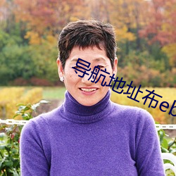 導航地址布ebay