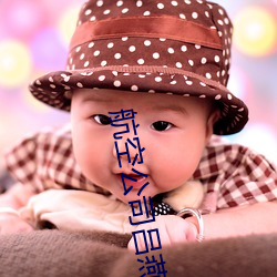 航(航)空公(公)司吕(呂)燕