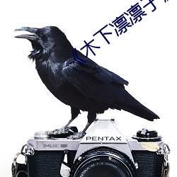 《木下(xià)凛凛子》动作片(piàn)完整(zhěng)版