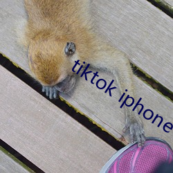 tiktok iphone下載