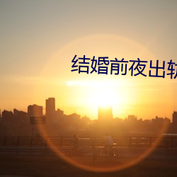 结婚前夜出轨 （上蔟）