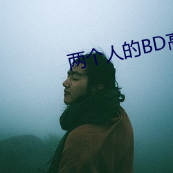 两个人的BD高清视频免费