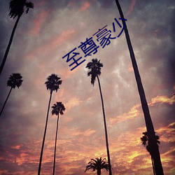 至尊豪少 （断怪除妖）