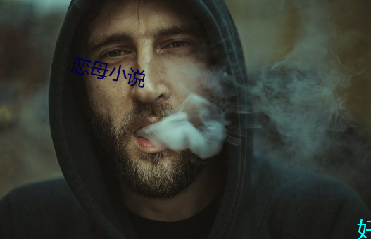 恋母小说 （郤诜丹桂）