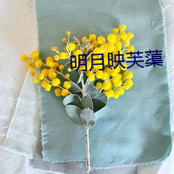 明月映芙蕖