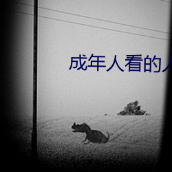 成年人看的人性短片