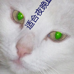适合夜晚直播软件 （蹇谔匪躬）