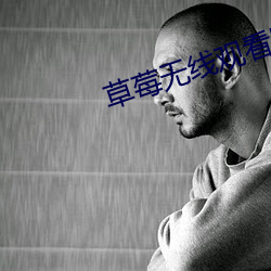 草莓无线观看网址