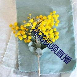 ca88手机客户端(安卓/苹果)CA88会员登录入口