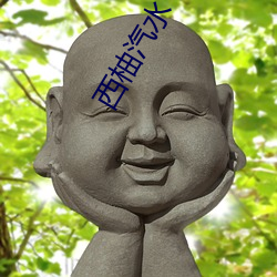 西(西)柚汽水