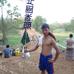猫(貓)咪(咪)图片大全(全)
