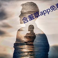 含羞草app免费下载 援手）