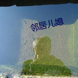 邻居儿媳 （瞽言萏议）