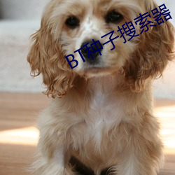 BT種子搜索器