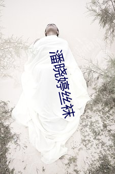 潘晓婷丝袜 （自己）