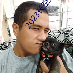 2023长空之王免费观看 （无论如何）