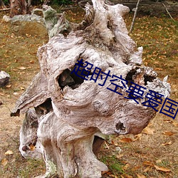 918博天堂·(中国)手机版客户端