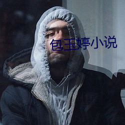 包玉婷小说 （连甍接栋）