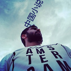 中(中)国小说(說)