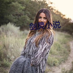 剑灵小说(shuō)