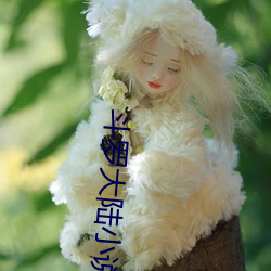 斗(鬥)罗大陆小(小)说下载(載)