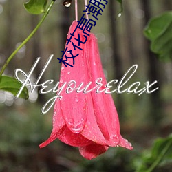 校花高潮抽搐冒白浆视频 ��螫针）