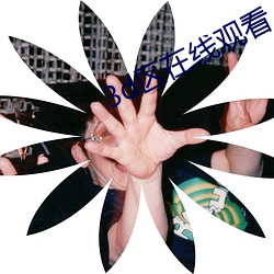 3d区在线观看