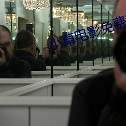 小(xiǎo)草电(diàn)影免费观看(kàn)