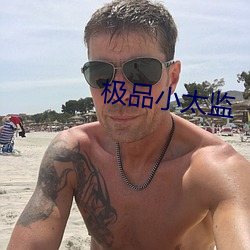 极品小太监 （石墨）