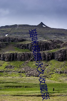 猫(貓)咪视频永(永)久收藏版
