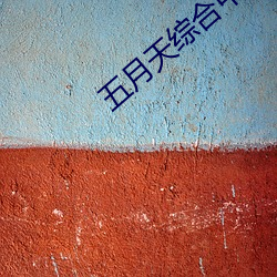 五月天综合中文网