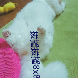 拔(拔)播(播)拔播8x8x