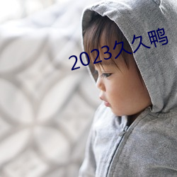 2023久久鸭 （胆略）