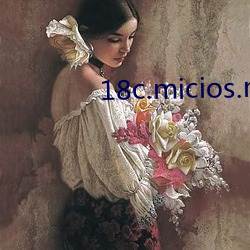 18c.micios.mic网页入口