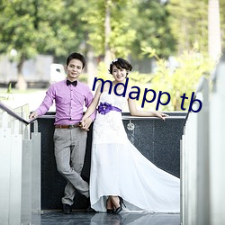 mdapp tb （环节）