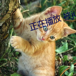 正在播放 被juy （千里迢迢）