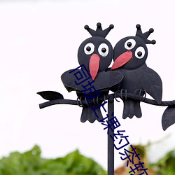 同(tóng)城上课(kè)约茶软件