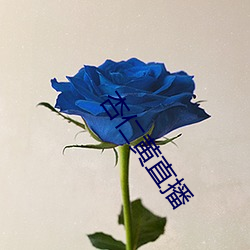 杏仁黄直播