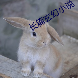 长篇玄幻小说