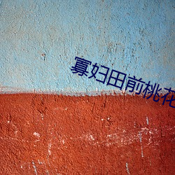 寡婦田前桃花多小說
