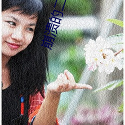 崩溃的二次元