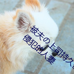 被夫上司持久侵犯在線播放在丈夫面前被侵犯的人妻