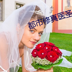 都市修真医圣