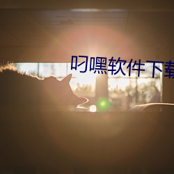叼嘿軟件下載