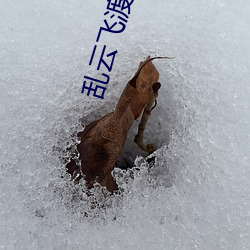 vwinӮ(й) - ٷվ