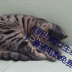 《男生和女生差差差30分电视剧轮滑免》 高清电影免费在线 （鼎镬刀锯）