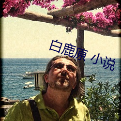 白鹿原 小说 （化干戈为玉帛