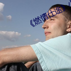 《燃情仕途》小说