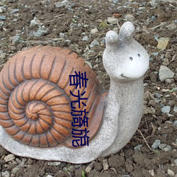 春光旖旎