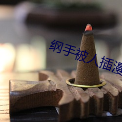 纲手被人插漫画